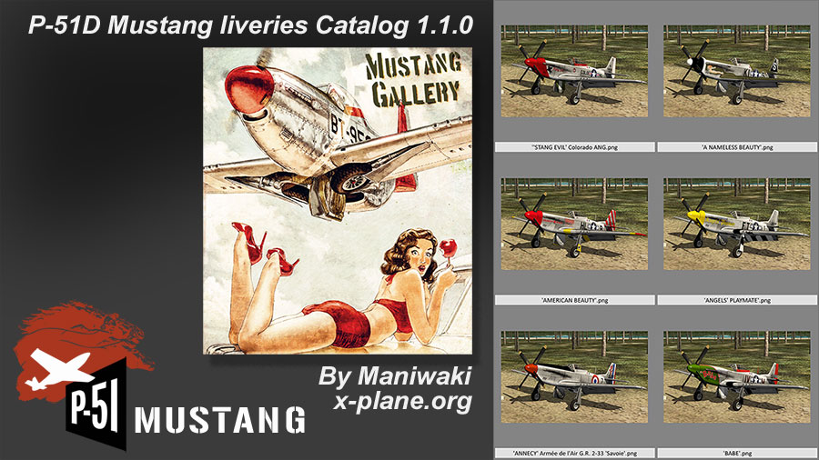 P-51D_maniwaki_gallery_01.jpg